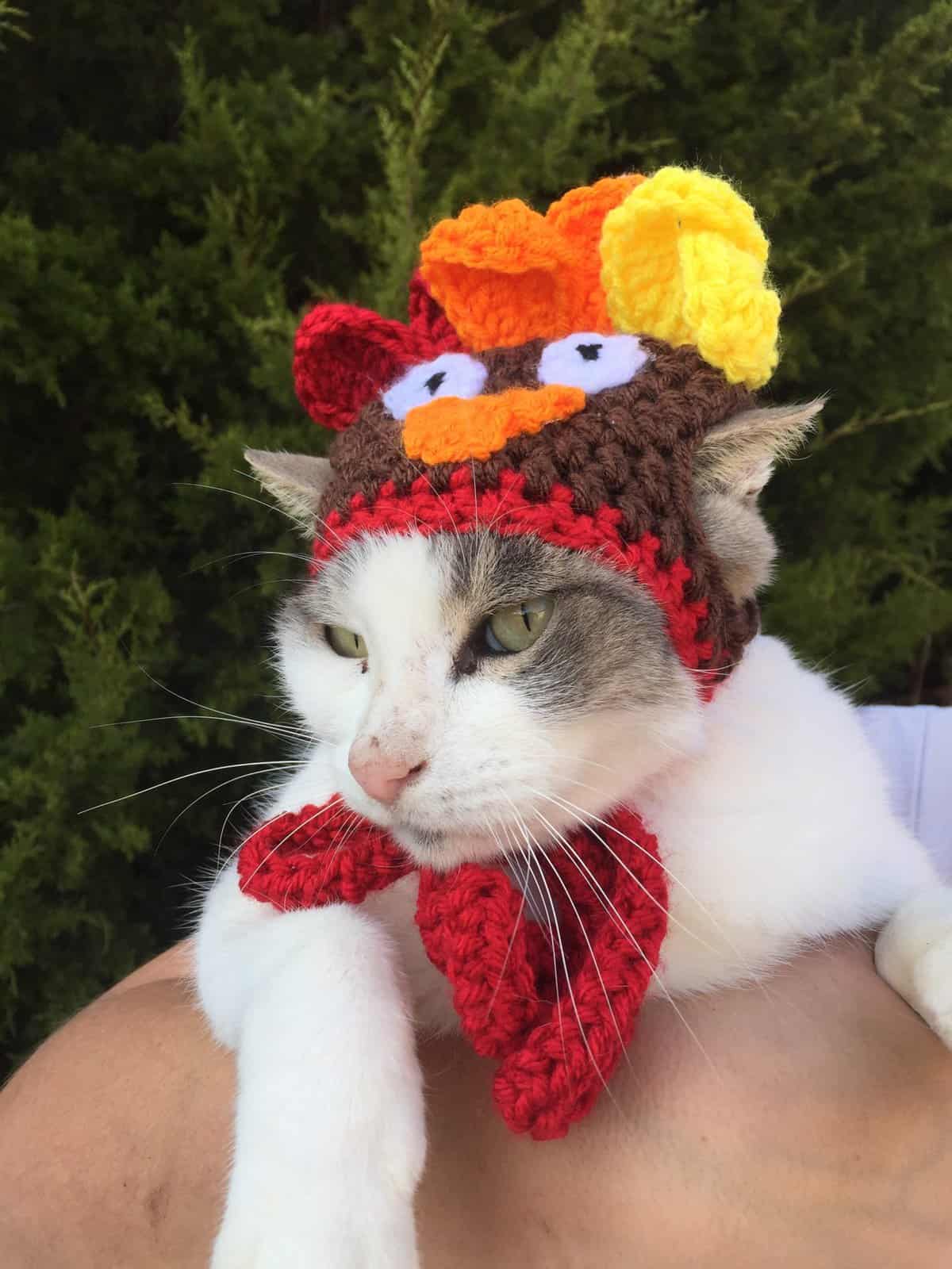 Autumn vibes cat beanie in 2023  Cat beanie, Crochet, Crochet