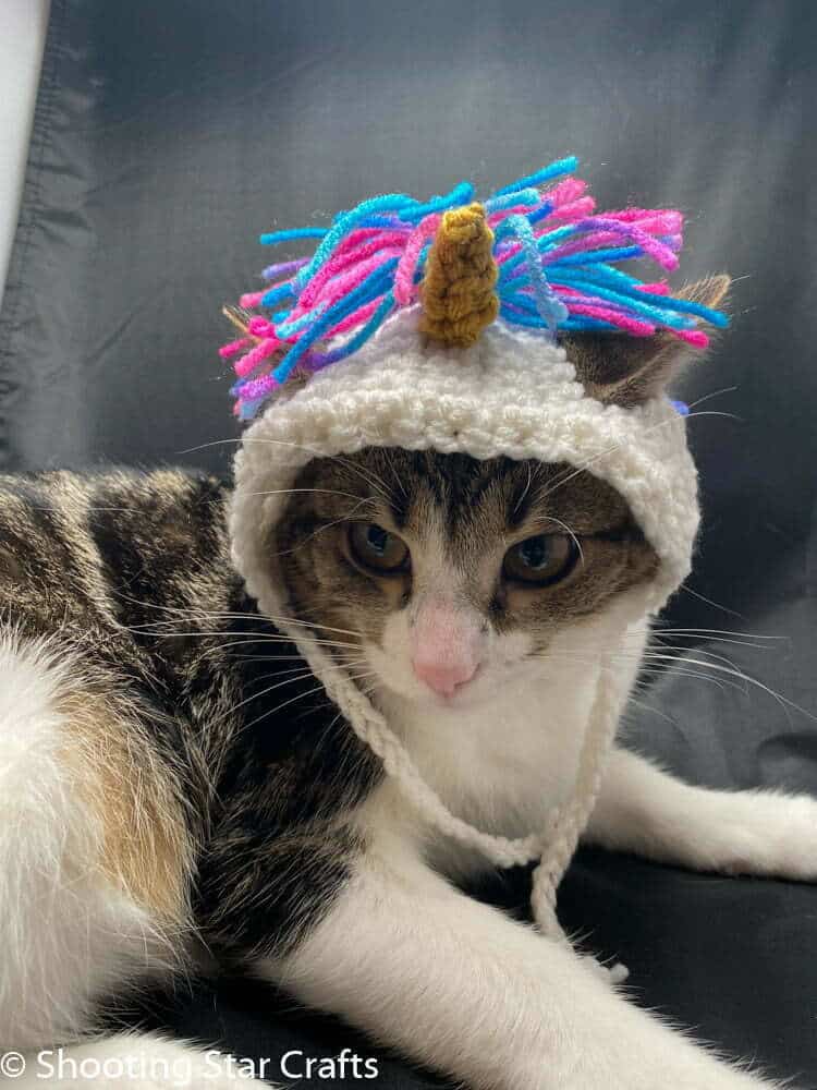 Crochet PATTERN: Minimalist Cat Coaster Instant Download PDF Kitty