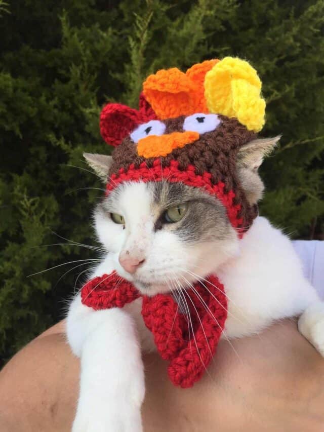 crochet cat hat patterns