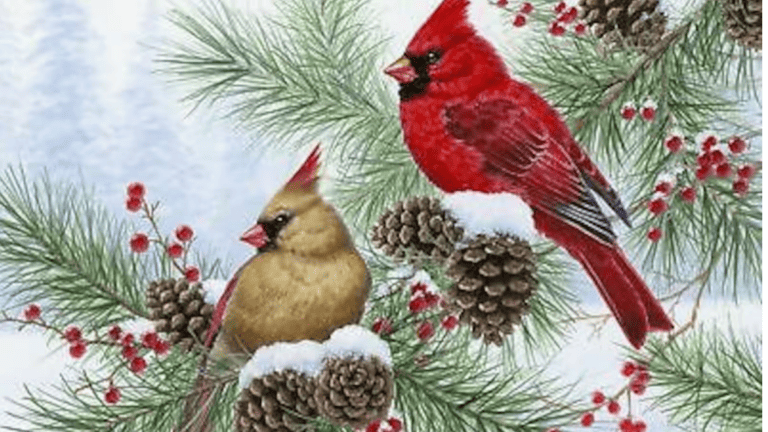 13 Christmas Fabric Panels for Easy Quilting Projects