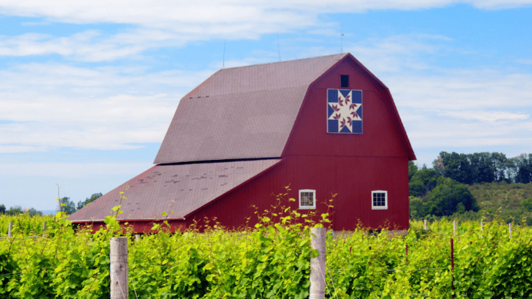 Barn Quilt History: The Exciting Story Of Barn Quilt Trail