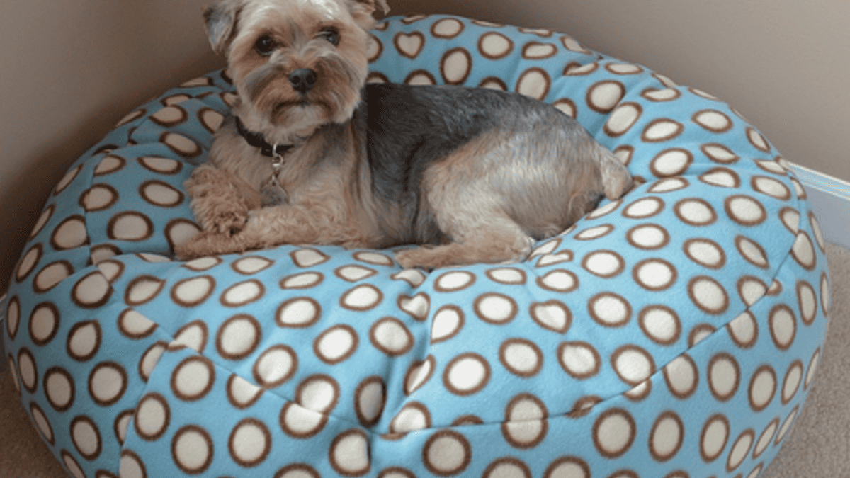 blue and white diy fleece dog bed